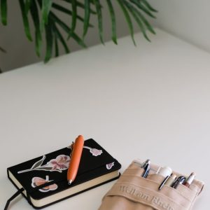 خودکار فانتزی طرح‌دار